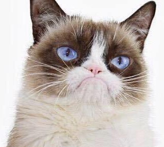 The Official Grumpy Cat--Facebook