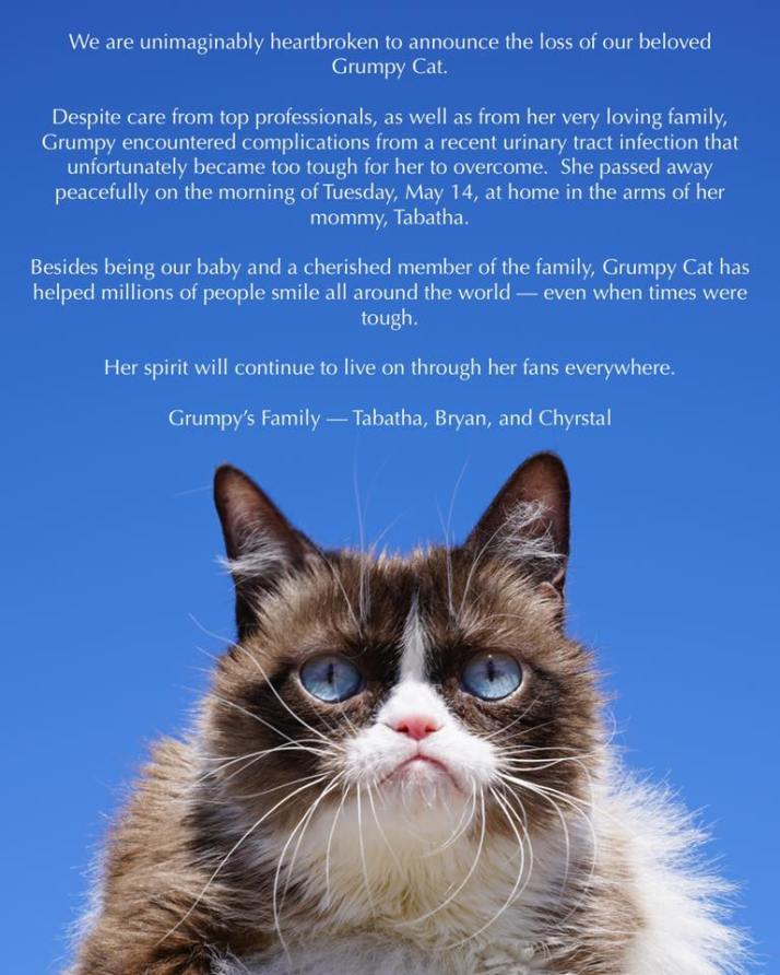 The Official Grumpy Cat-Facebook